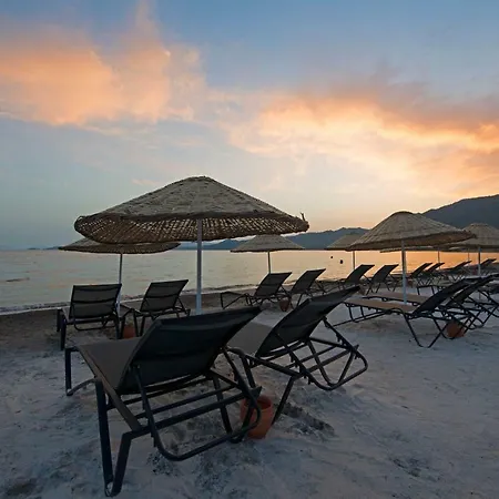 酒店 Voxx 马尔马里斯