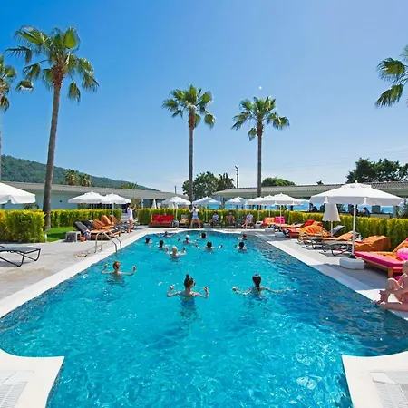 Otel Voxx 5*